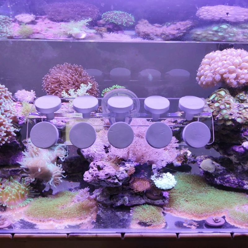 Диски с фрагментами кораллов для Т Образных креплений с Фрагментами кораллов для морского аквариума Изображение 4