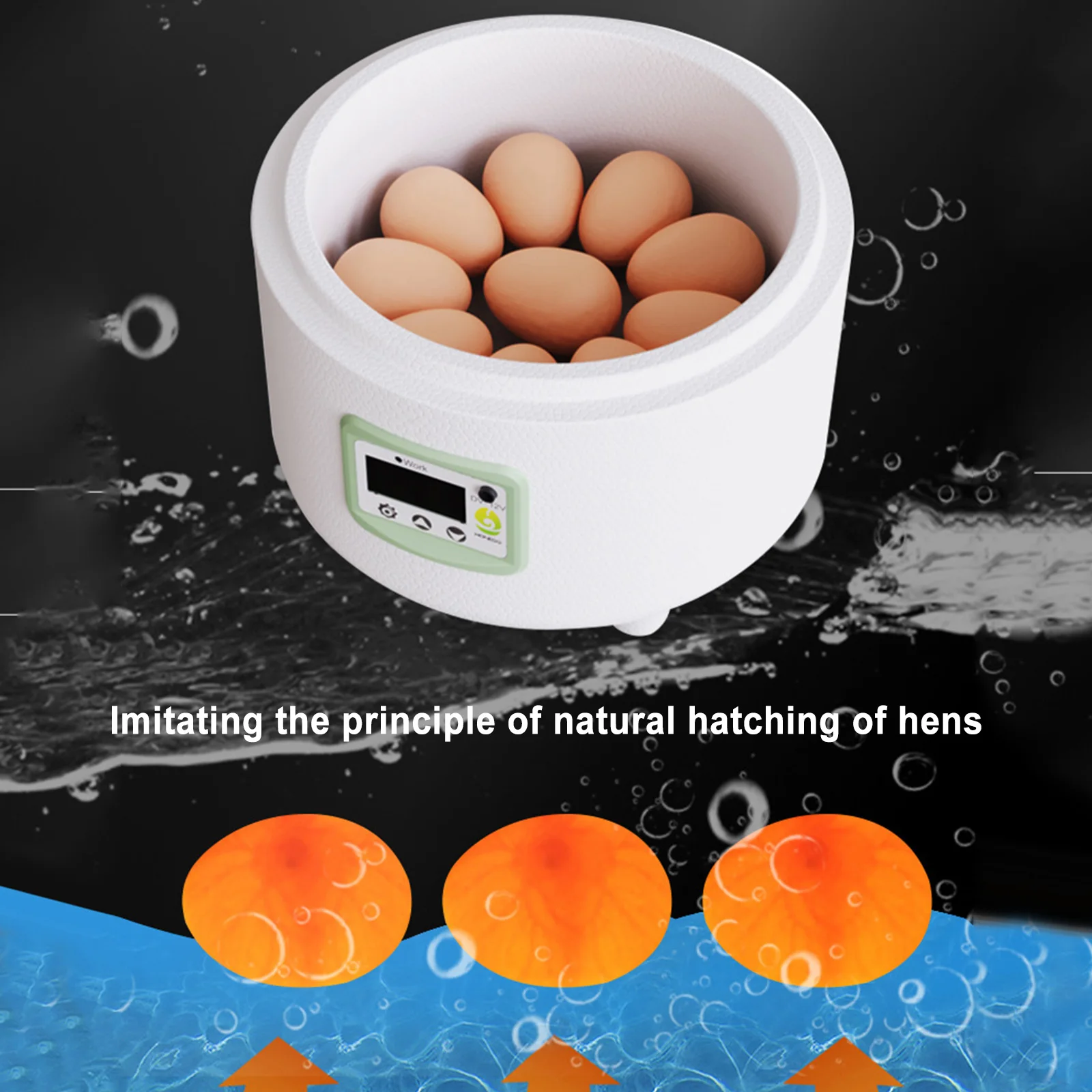 Инкубатор для яиц со светодиодной подсветкой 9 Автоматический Контроль Температуры Инкубаторный Инструмент Маленькая Пластиковая Бионическая Водяная Кровать Инкубатор для яиц сельскохозяйственной птицы Изображение 2