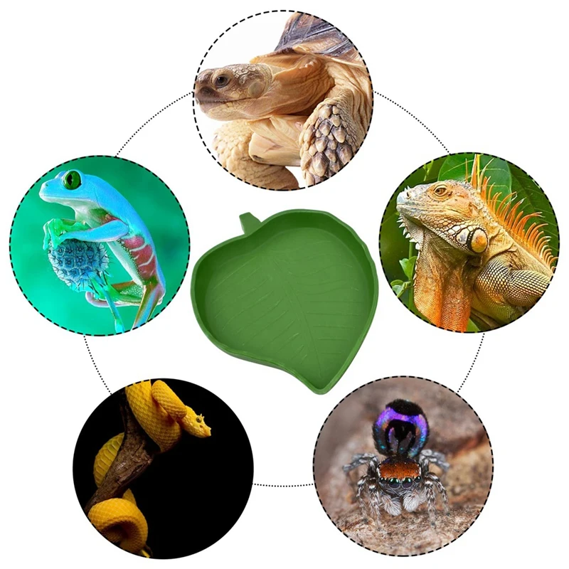 Миска для воды для рептилий в форме листа, 2 предмета, Пластиковая тарелка для рептилий, поилка для черепахи, кукурузы, ползающей змеи, домашнее животное Изображение 2