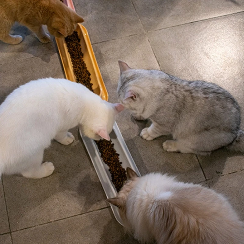 Наклонная миска для домашних животных, наклонное блюдо для еды или воды длиной 14 дюймов, нескользящий дизайн, 6XDE Изображение 3