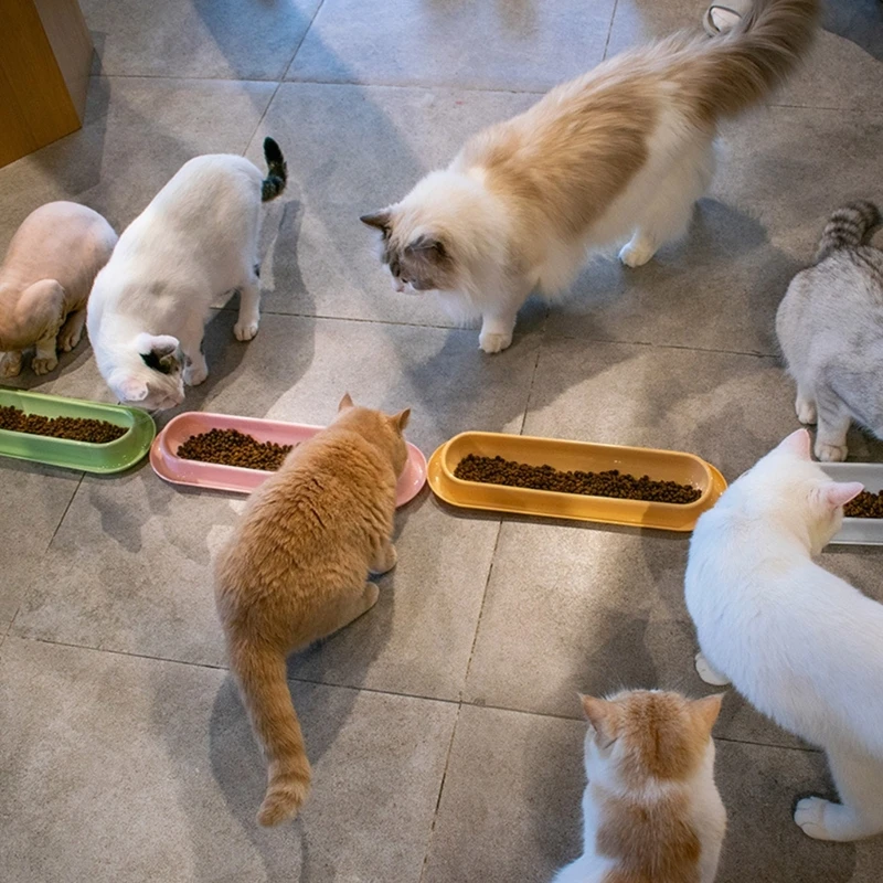 Наклонная миска для домашних животных, наклонное блюдо для еды или воды длиной 14 дюймов, нескользящий дизайн, 6XDE Изображение 4