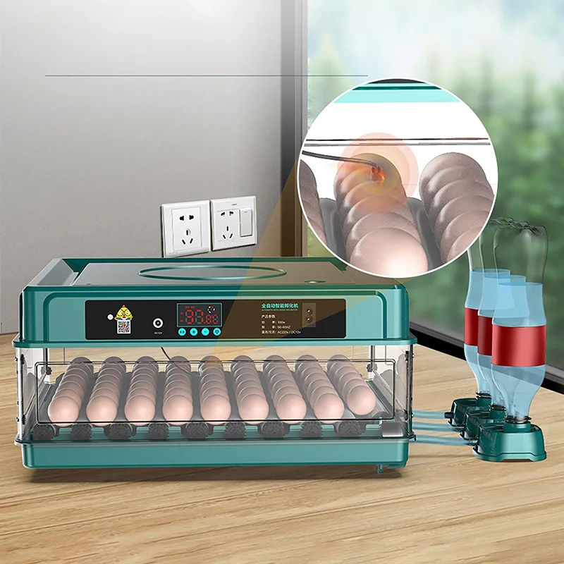 Полностью Автоматический Интеллектуальный Инкубатор Двойной Мощности Мини-Бытовой Инкубатор Для яиц Курицы, Утки, Гуся, Голубя, Павлина и Попугая Изображение 0