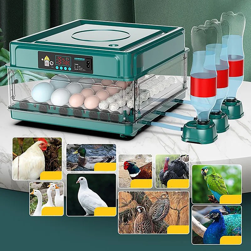 Полностью Автоматический Интеллектуальный Инкубатор Двойной Мощности Мини-Бытовой Инкубатор Для яиц Курицы, Утки, Гуся, Голубя, Павлина и Попугая Изображение 2