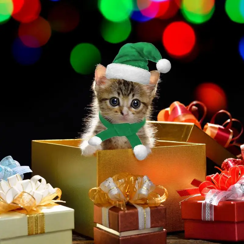 Рождественский костюм маленькой кошки, Шапка Санта-Клауса для маленькой собаки С шарфом, Рождественский наряд Котенка, Набор Санта-Клауса для котенка щенка Изображение 5